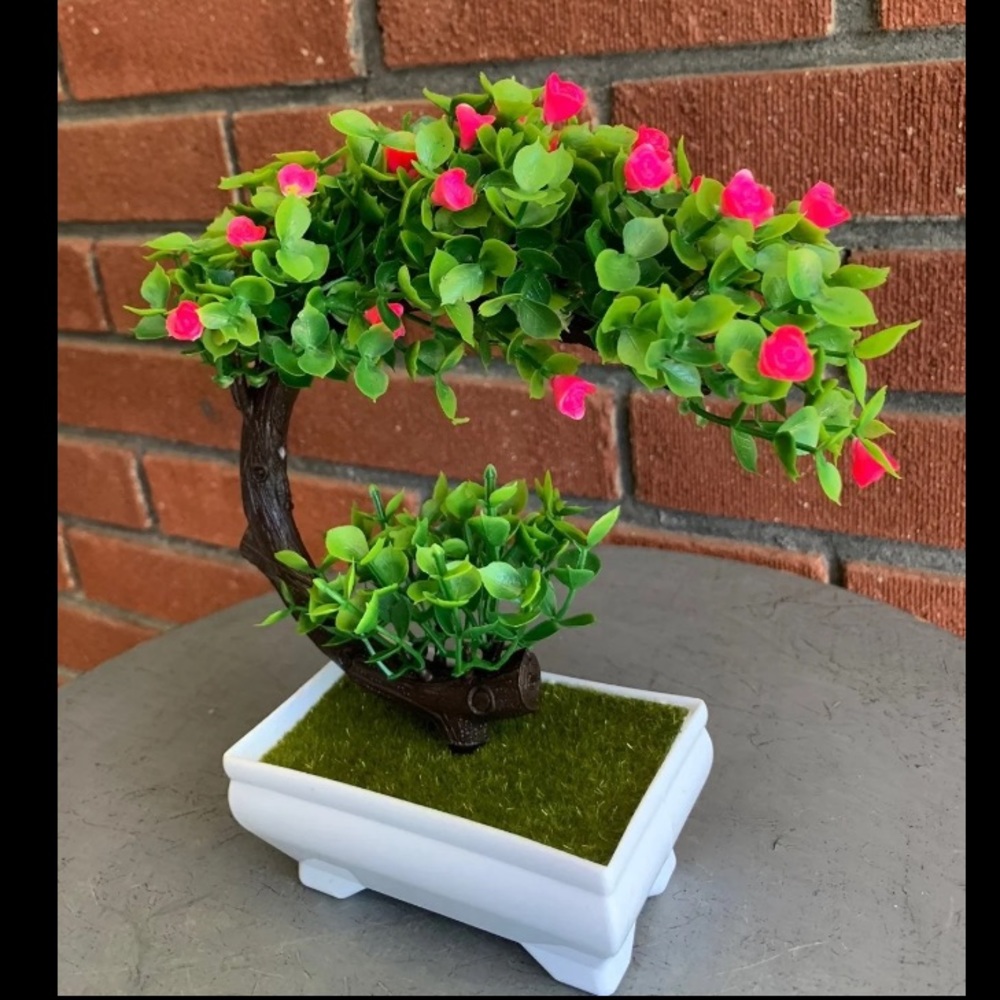 Bonsai plant with pink flowers decoration